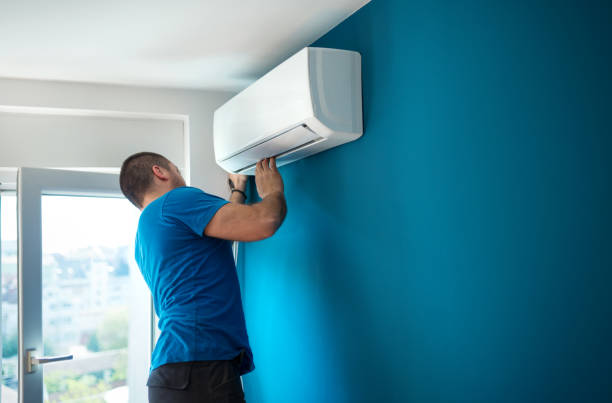 Best Furnace Cleaning in Loughman, FL